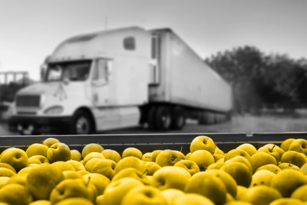 Traffix produce pillar page image