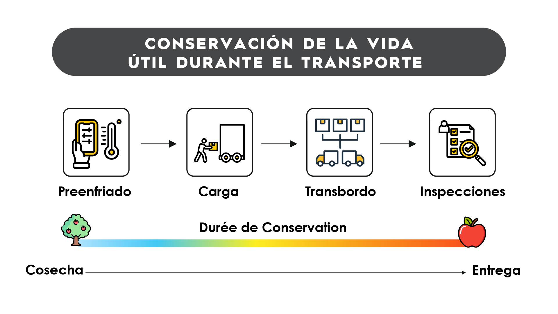 TRAFFIX produce shelf life during transportation_SPA
